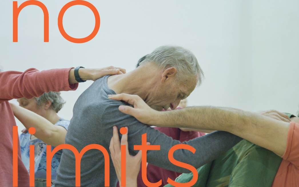 "VISION" Work-in-Progress Project