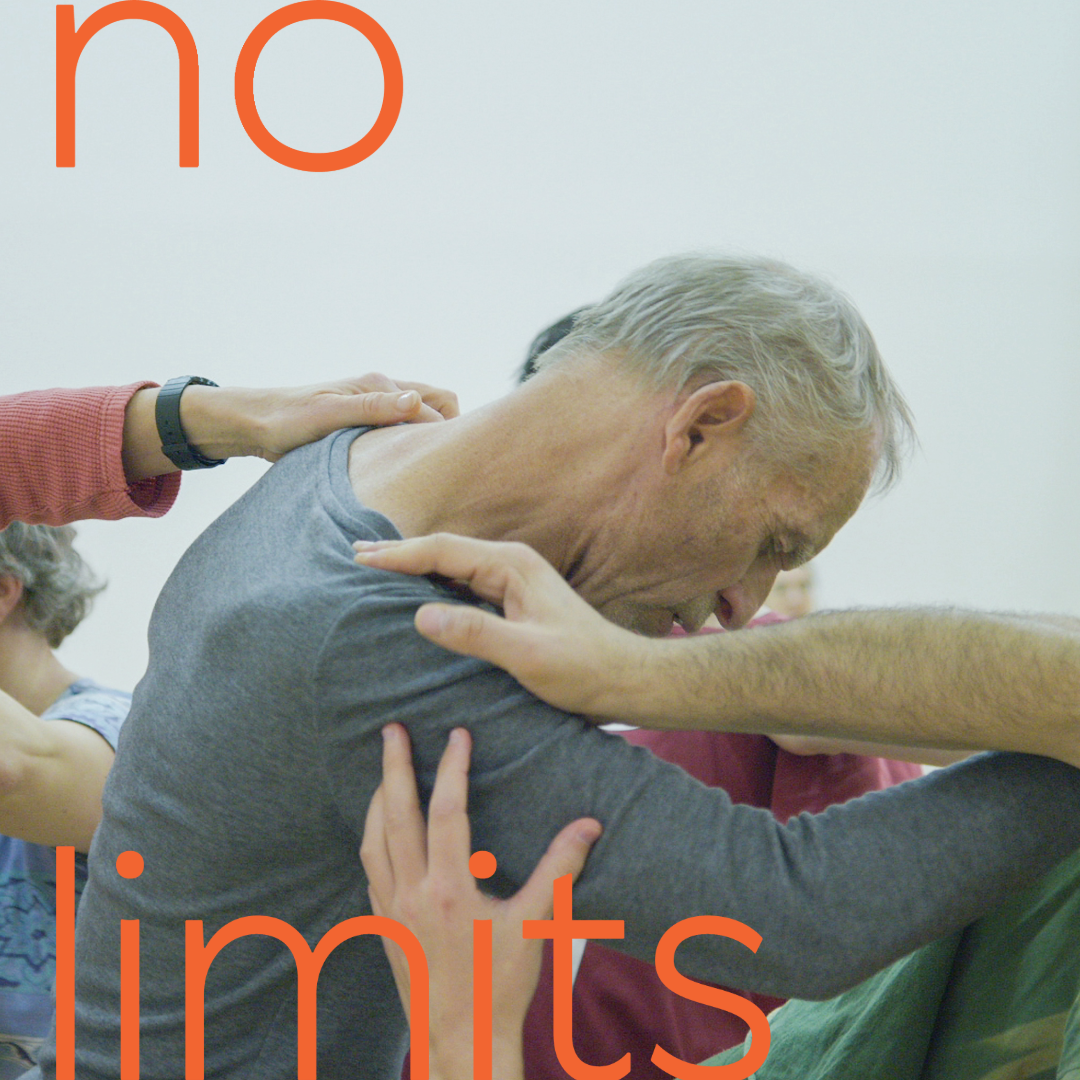 "VISION" Work-in-Progress Project